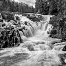 DS8_8564-Edit-Edit-2-2