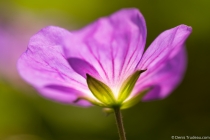 D81_9002-Edit-2-Edit
