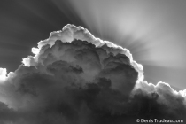 DS8_1672-2