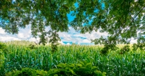 DS8_4816-HDR-Edit