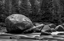 DSC_4844-Edit-Edit-2