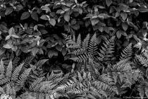 DZ6_2430-Edit-Edit