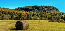 Untitled_Panorama1-Edit-5