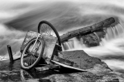 DSC_8800-Edit