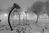 DS8_8431-2