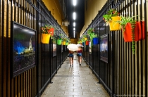 DZ6_2971